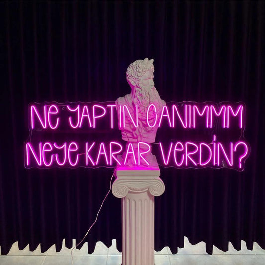 NE YAPTIN CANIMMM NEYE KARAR VERDİN? - Neonbir