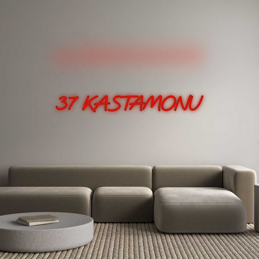 Özel Tasarım : 37 KASTAMONU