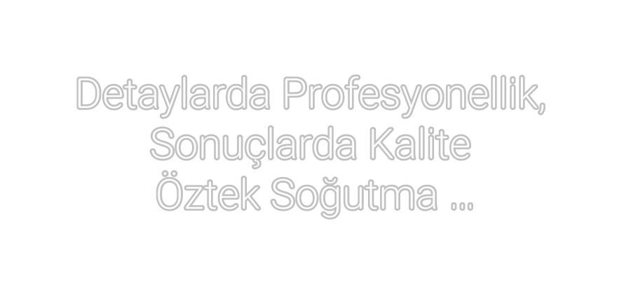 Özel Tasarım : Detaylarda Pr...