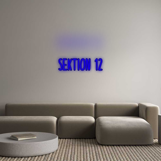 Özel Tasarım : SEKTION 12