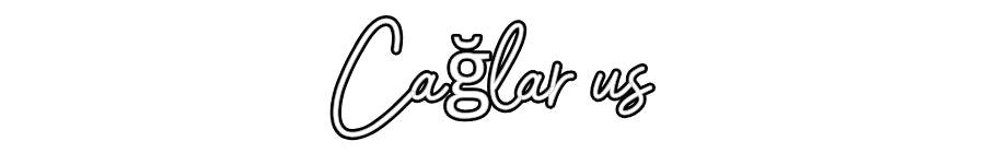 Özel Tasarım : Çağlar us
