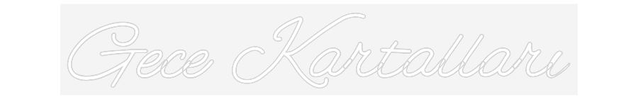 Özel Tasarım : Gece Kartalları