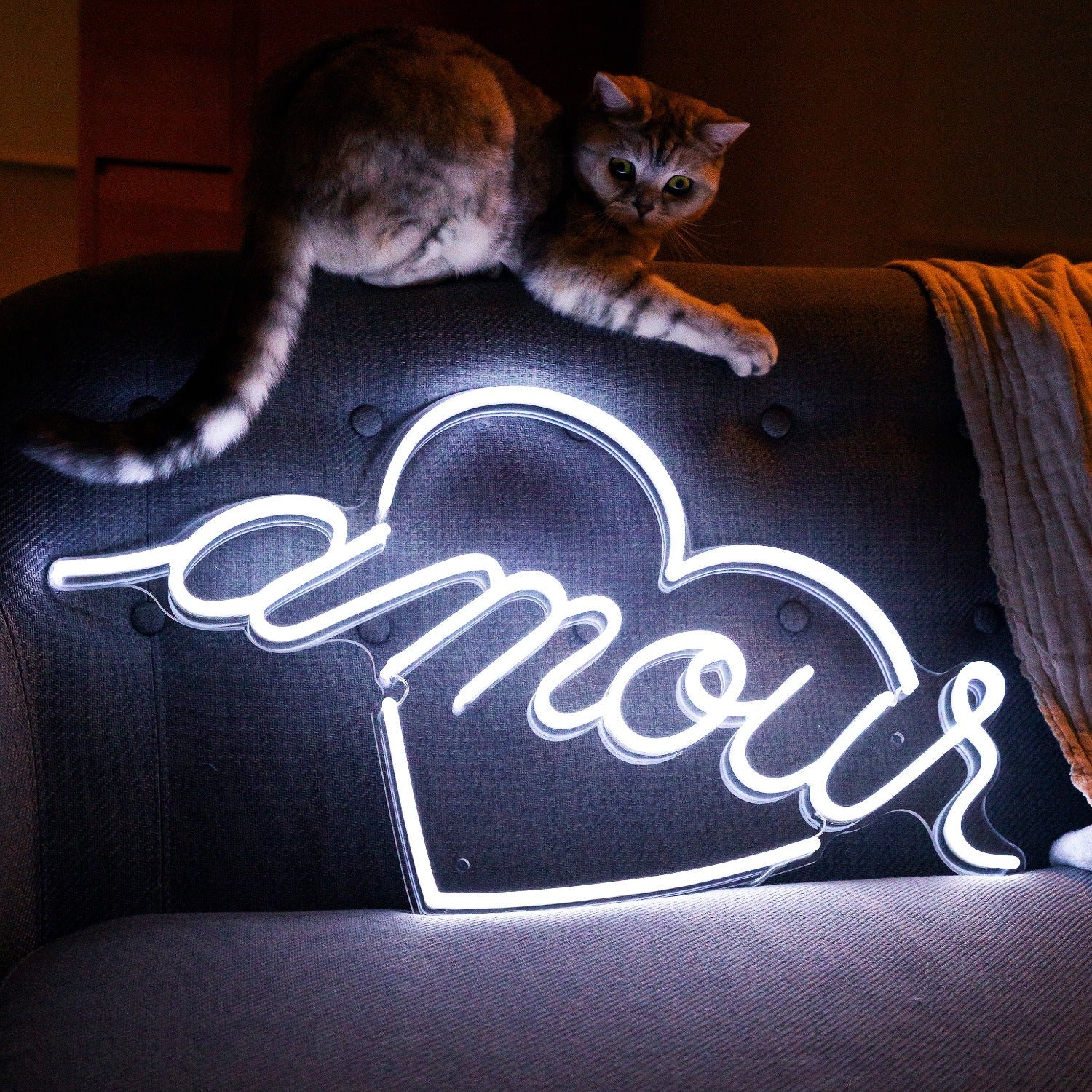 Amour by Jean André, Neon Tabela - Neonbir