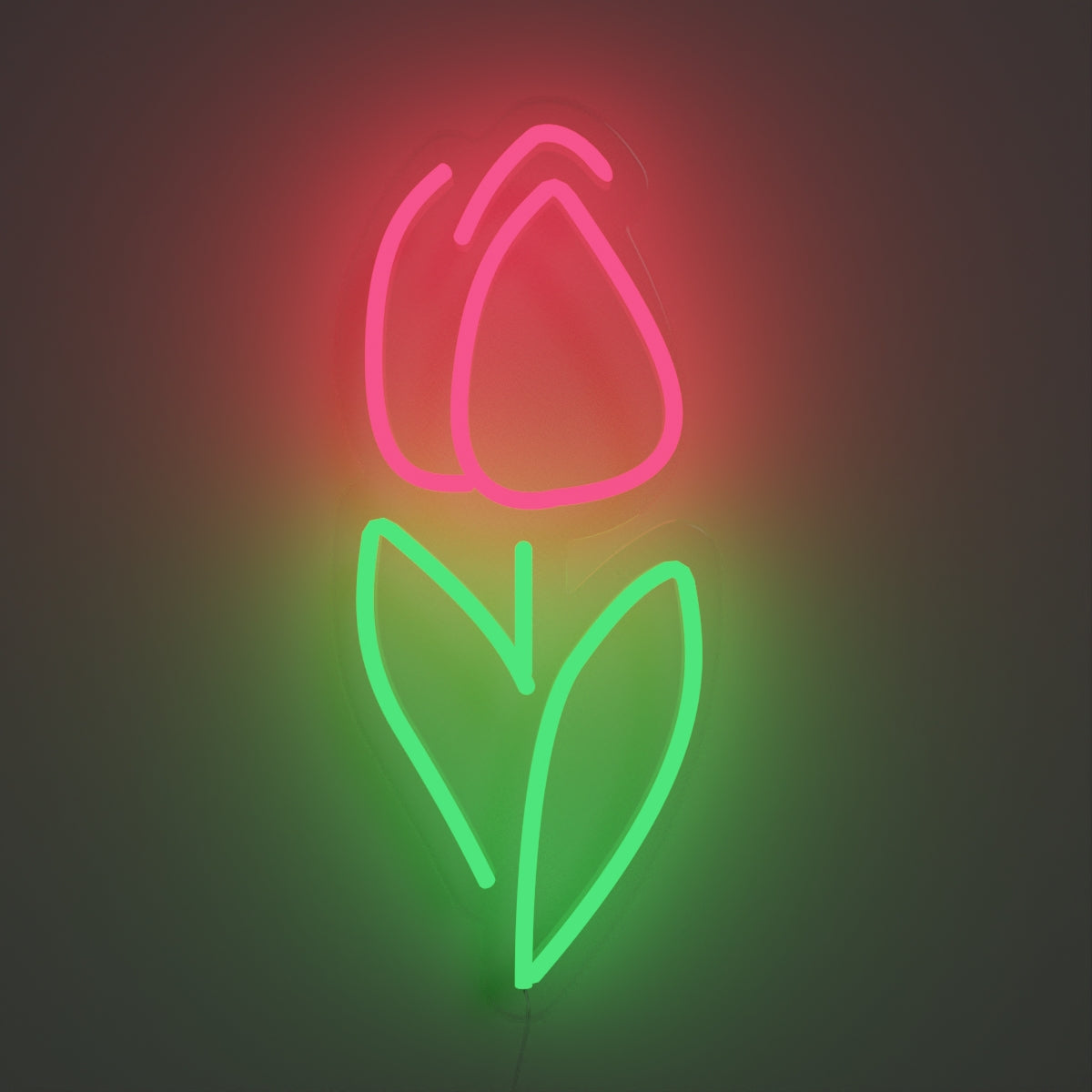Dutch Tulip, Neon Tabela - Neonbir