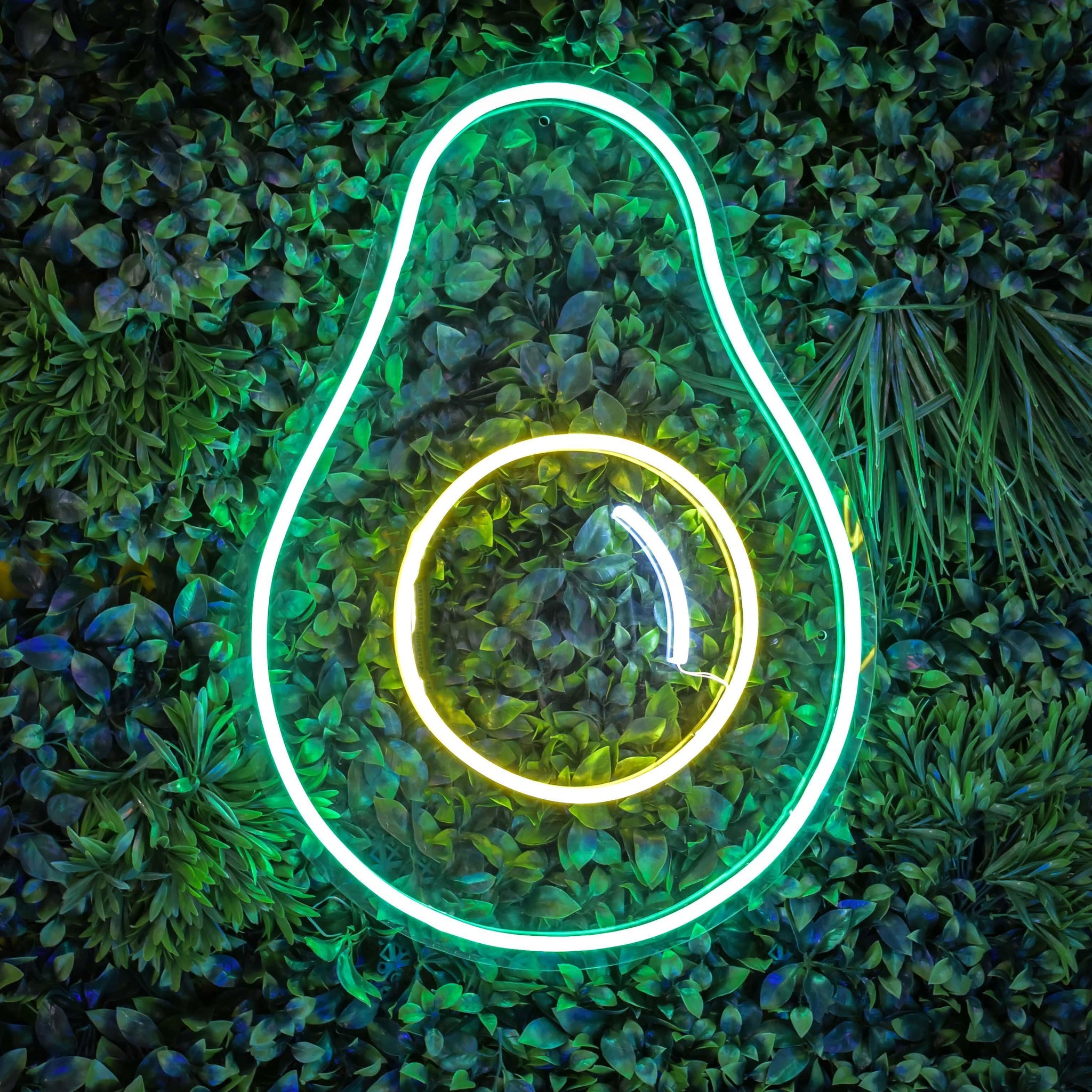 Crazy Avocado - Neon Tabela - Neonbir