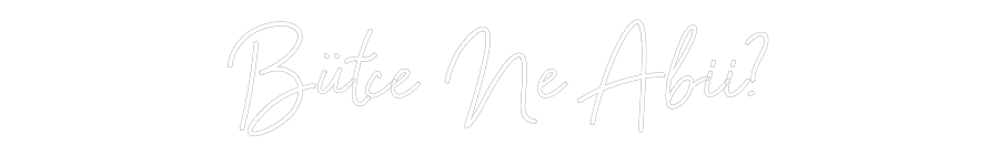 Özel Tasarım : Bütçe Ne Abii?