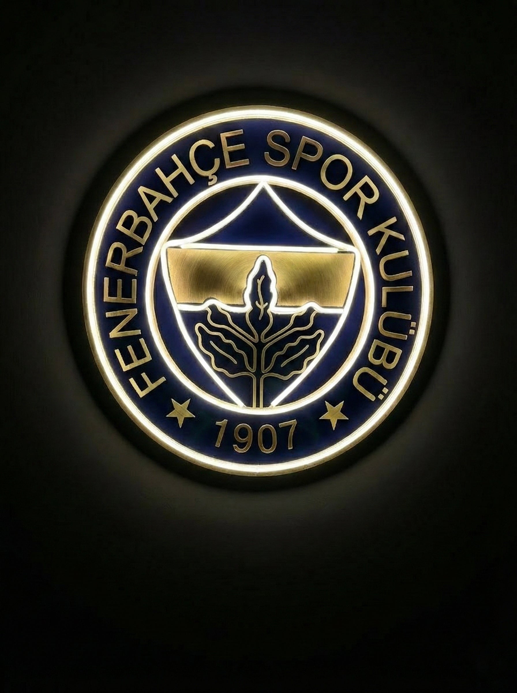 Fenerbahçe Premium Gold Taraftar Dekoru