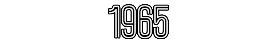 Özel Tasarım : 1965