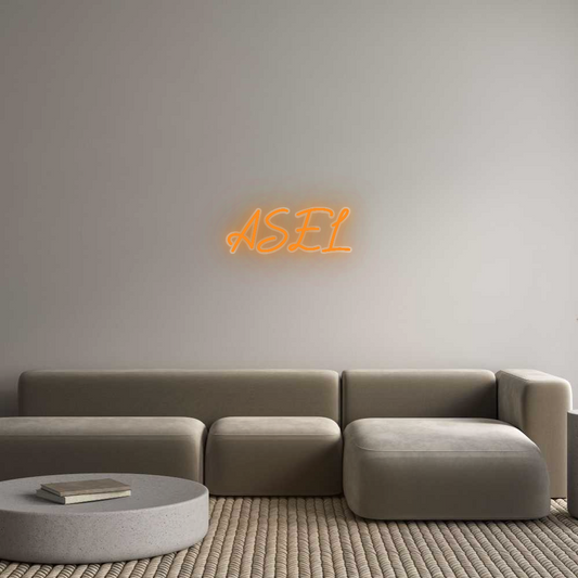 Özel Tasarım : ASEL