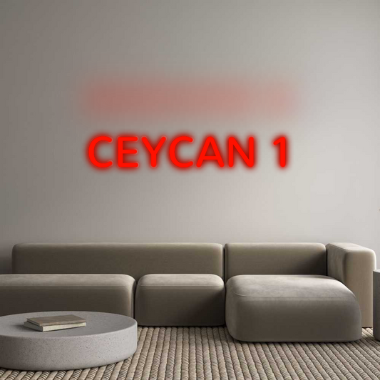 Özel Tasarım : CEYCAN 1