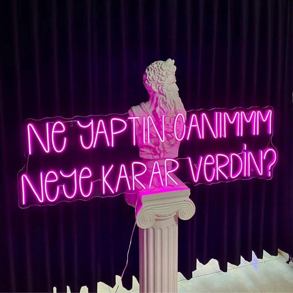 NE YAPTIN CANIMMM NEYE KARAR VERDİN? - Neonbir