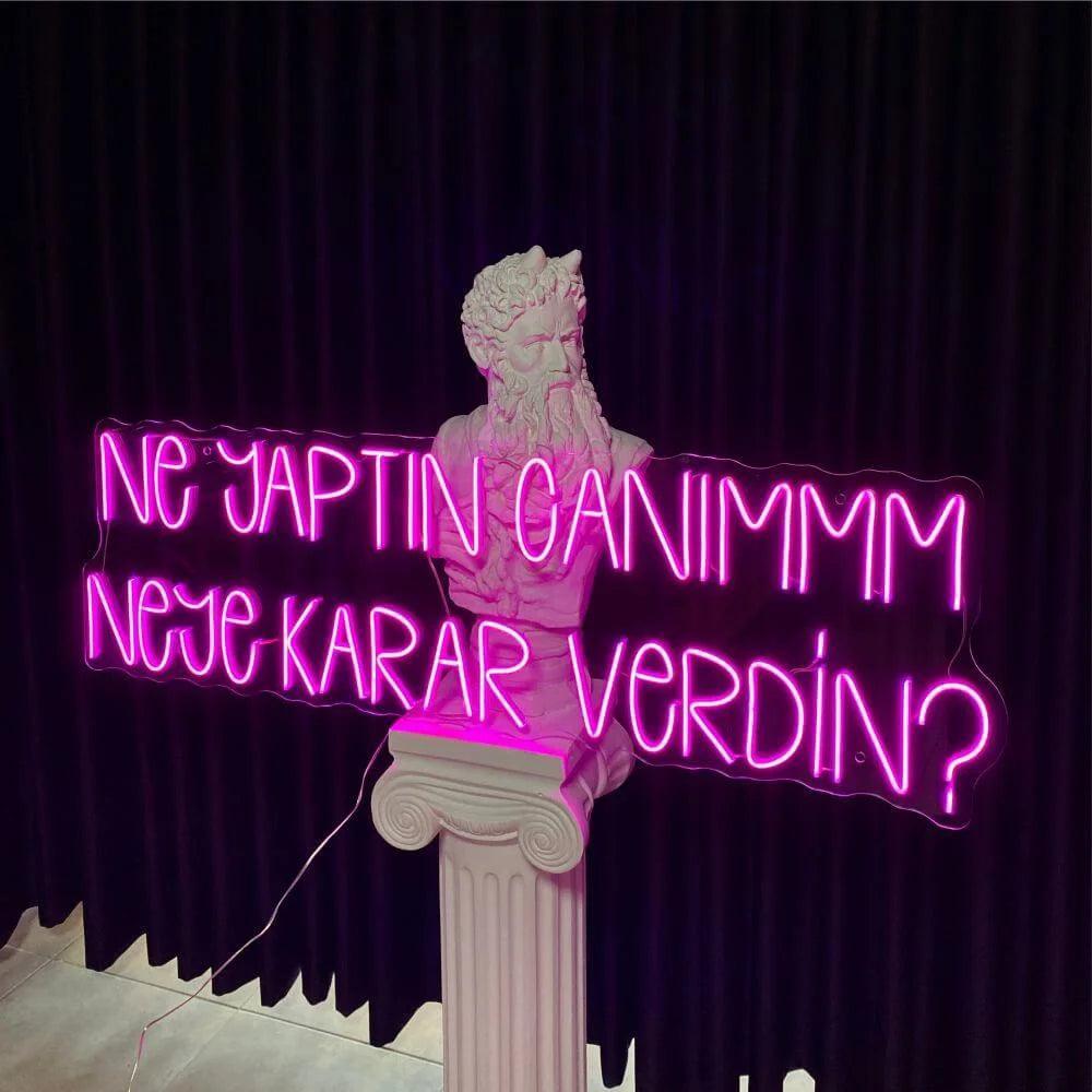 NE YAPTIN CANIMMM NEYE KARAR VERDİN? - Neonbir